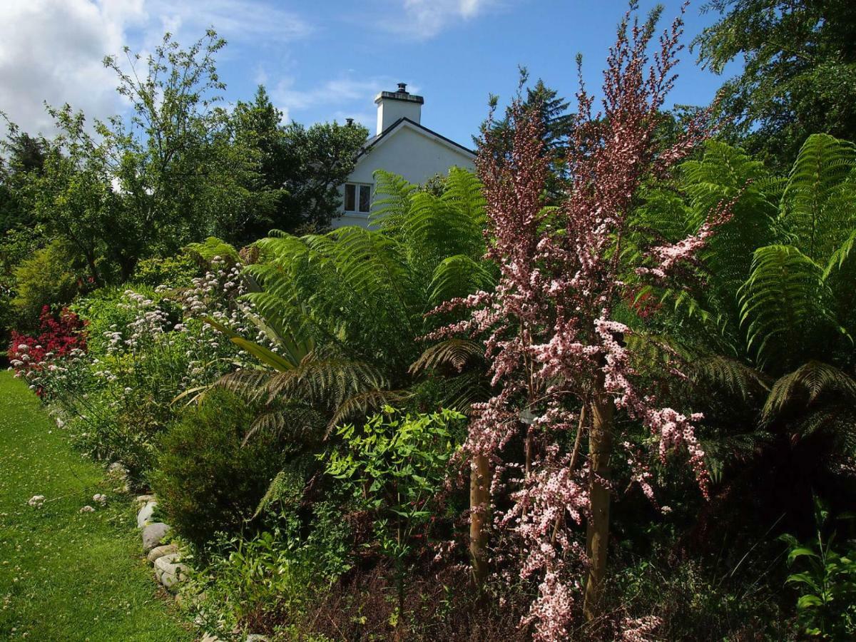 Ballycommane House&Garden Durrus Extérieur photo